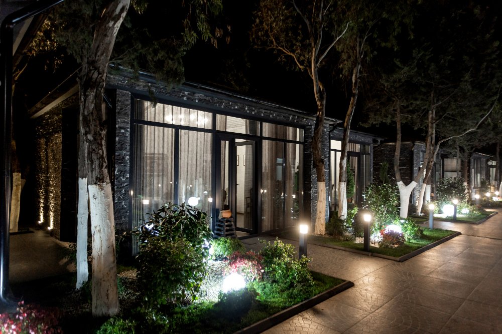 Blending Modern Elegance with Nature: A Guide to Biophilic Design