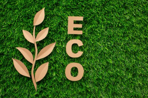 Eco-Friendly Siding: A Martha Stewart-Inspired Guide to Sustainable Outdoor Spaces